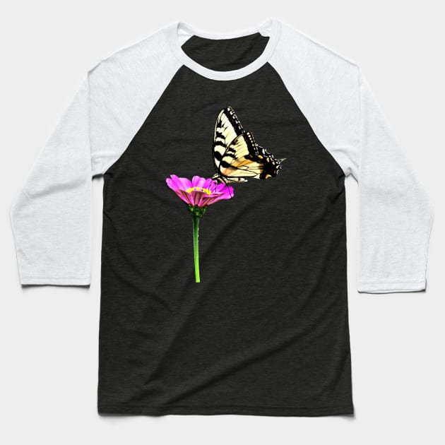 Zinnias - Tiger Swallowtail on Pink Zinnia Baseball T-Shirt by SusanSavad